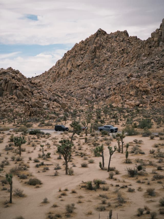 Joshua Tree National Park